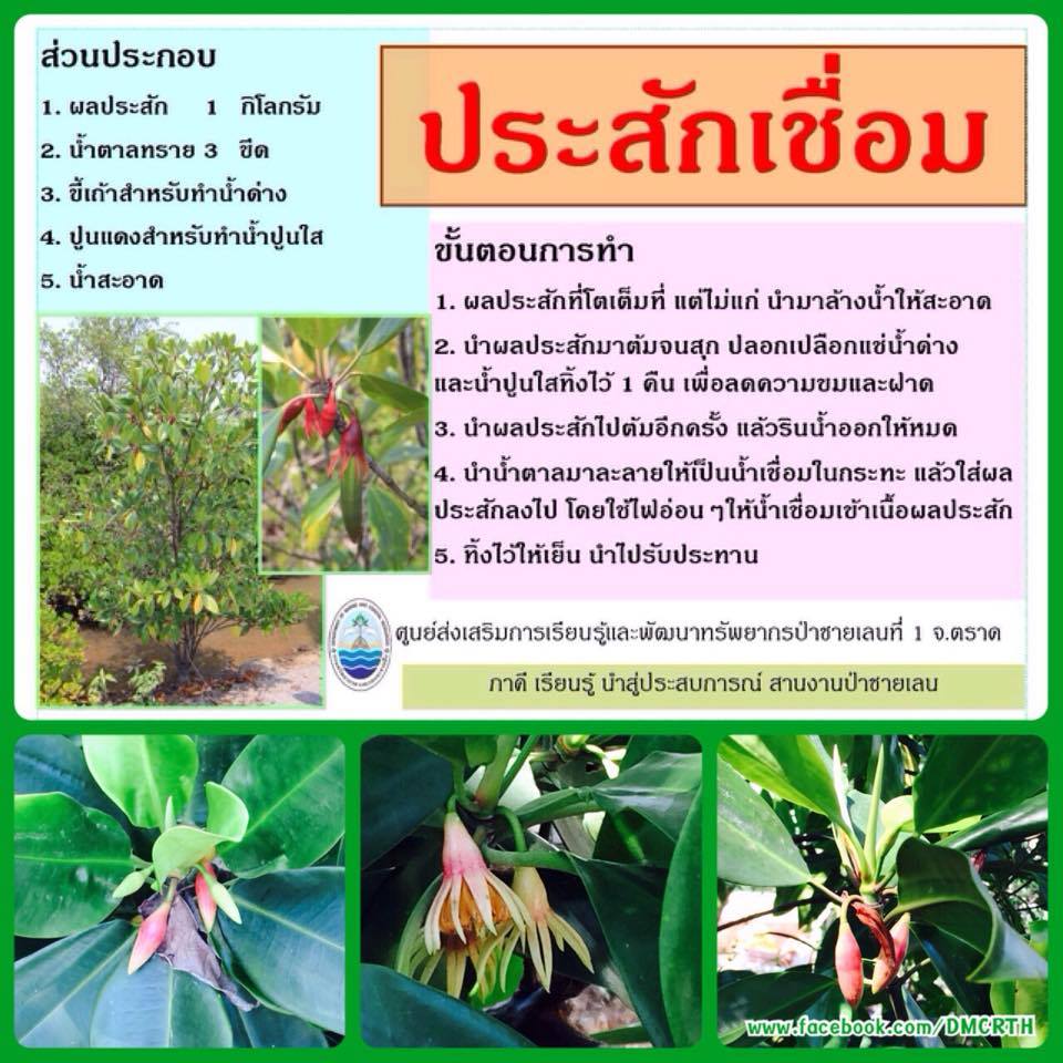 ของว่างทานเล่นจากป่าชายเลน