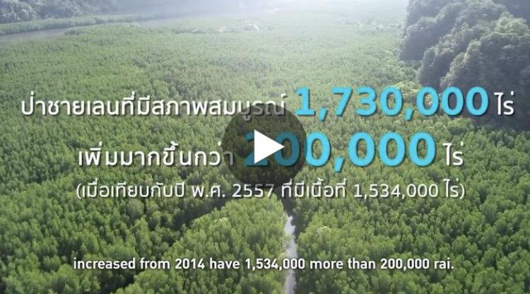 พระมหากรุณาธิคุณต่อการอนุรักษ์ทรัพยากรป่าชายเลน