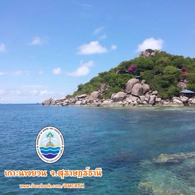 สวัสดี พี่น้องเครือข่ายรักษ์ทะเลไทย