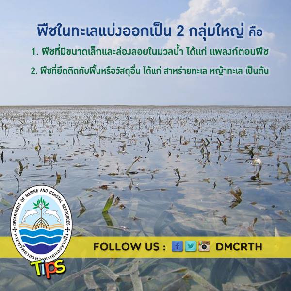 เกร็ดความรู้ ทช.