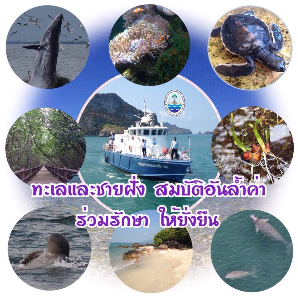 สวัสดี พี่น้องเครือข่ายรักษ์ทะเลไทย