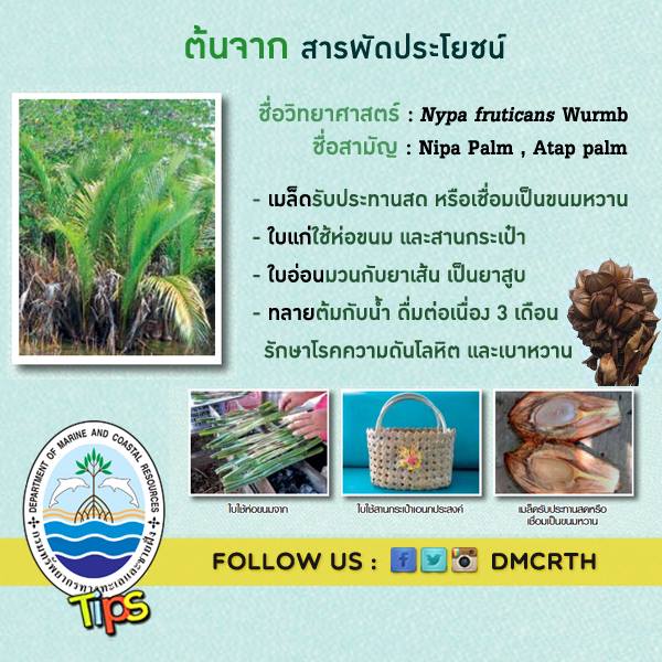 เกร็ดความรู้ ทช.