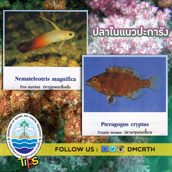 เกร็ดความรู้ ทช.