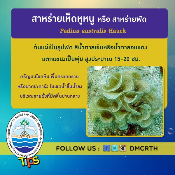 เกร็ดความรู้ ทช.