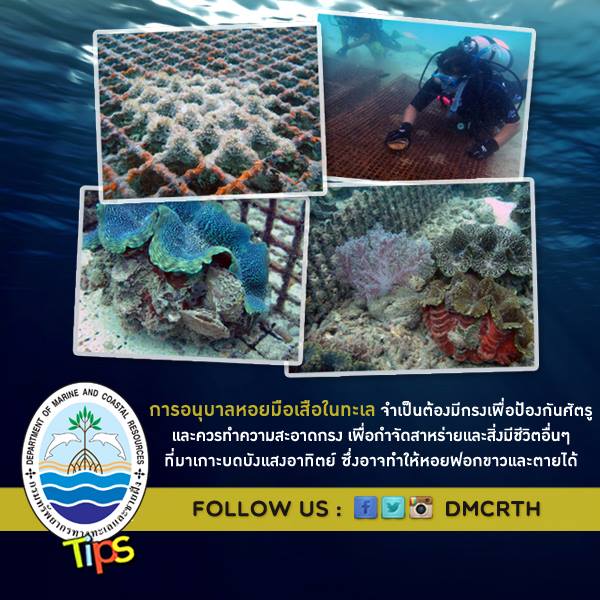 เกร็ดความรู้ ทช.