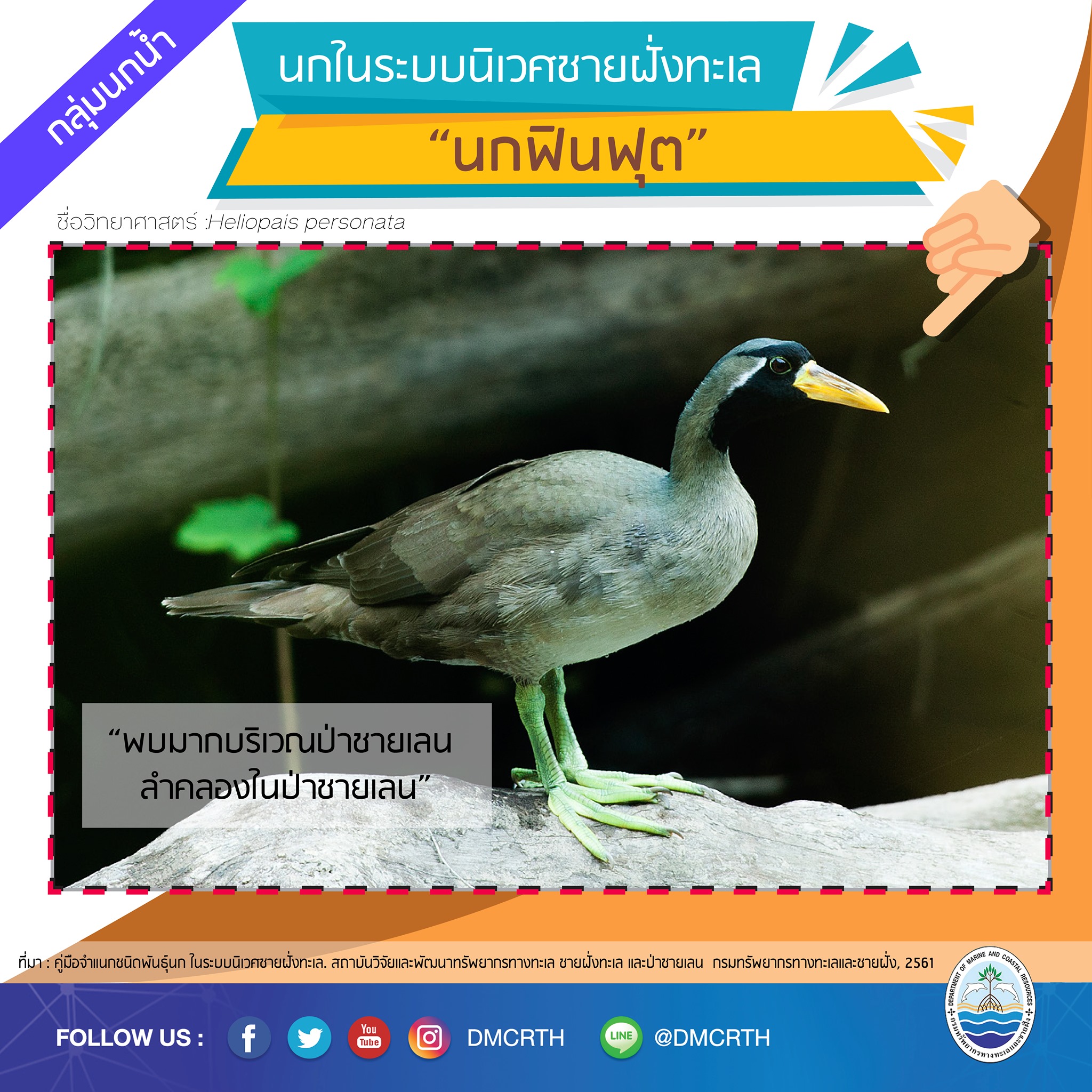 นก ไม่นก ถ้ารู้จักแล้วจะรักนกในระบบนิเวศชายฝั่งทะเลไทย #๒๒
