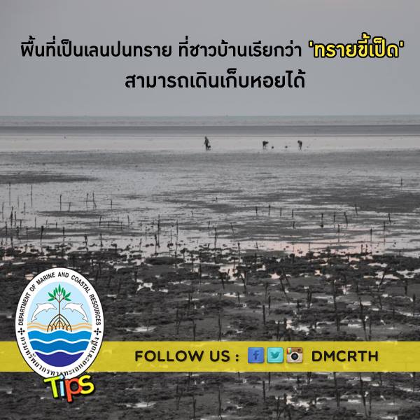 เกร็ดความรู้ ทช.
