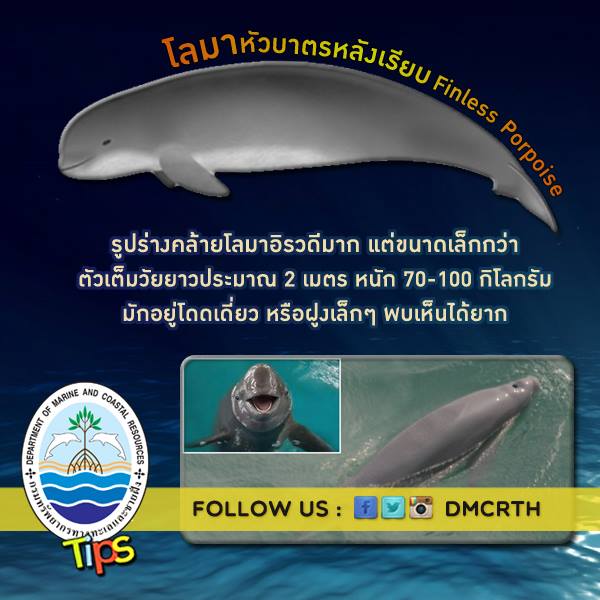 เกร็ดความรู้ ทช.