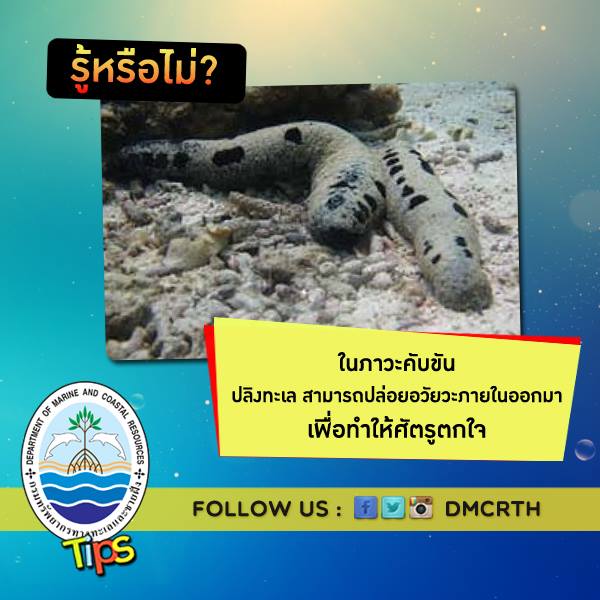 เกร็ดความรู้ ทช.
