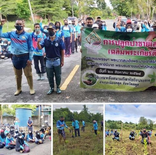 วิทยาลัยชุมชนสตูล ชวนอาสาสมัครพิทักษ์ทะเลสตูลปลูกป่าชายเลน