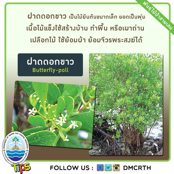 เกร็ดความรู้ ทช.