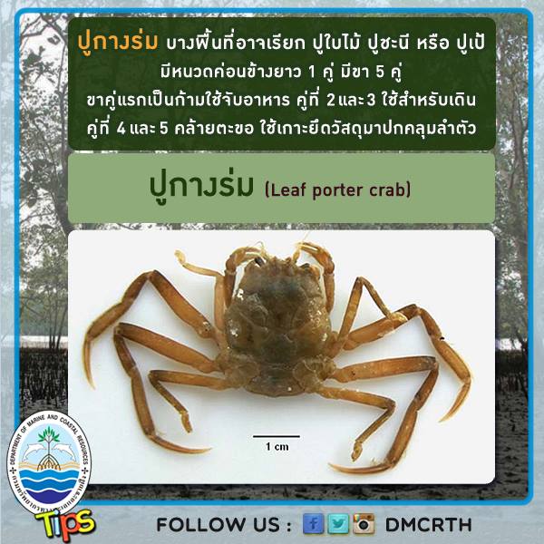 เกร็ดความรู้ ทช.
