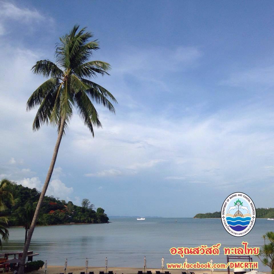 สวัสดี พี่น้องเครือข่ายรักษ์ทะเลไทย
