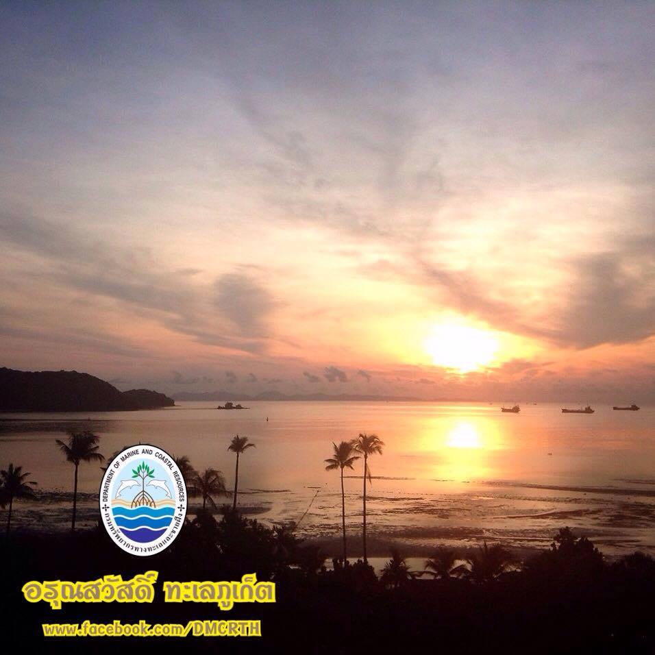สวัสดี พี่น้องเครือข่ายรักษ์ทะเลไทย