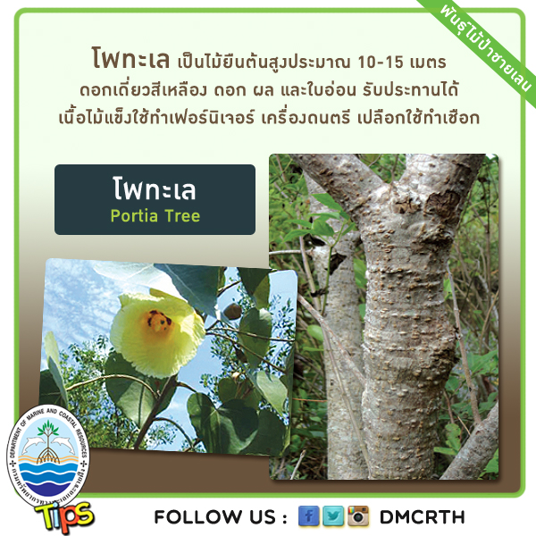 เกร็ดความรู้ ทช.