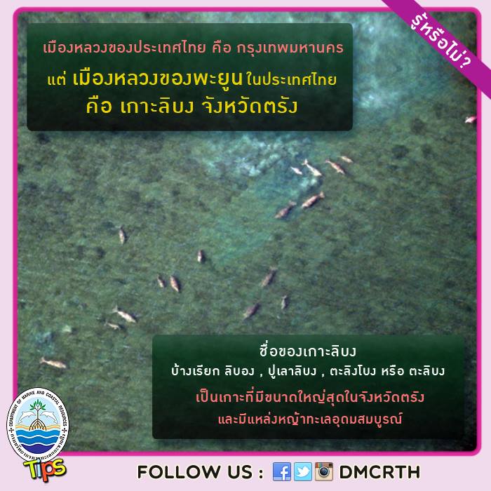 เกร็ดความรู้ ทช.