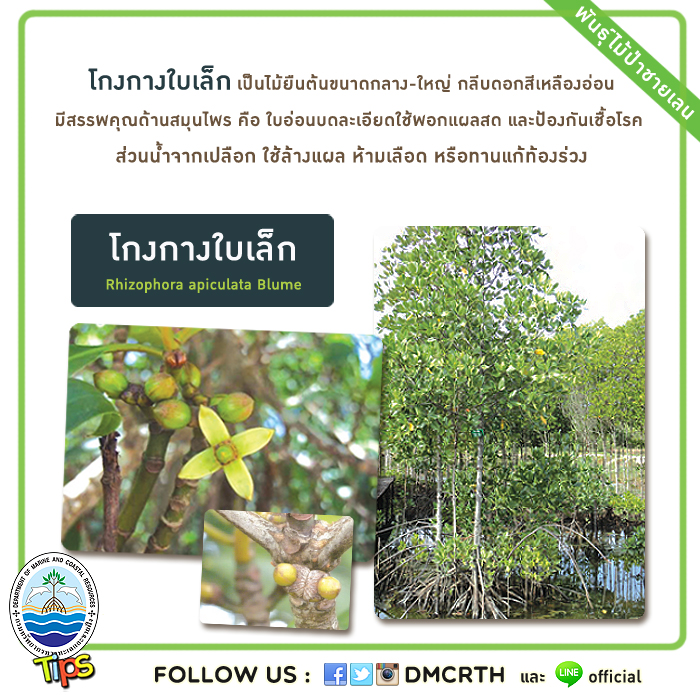 เกร็ดความรู้ ทช.