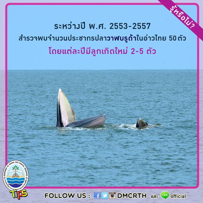 เกร็ดความรู้ ทช.