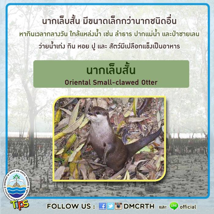 เกร็ดความรู้ ทช.