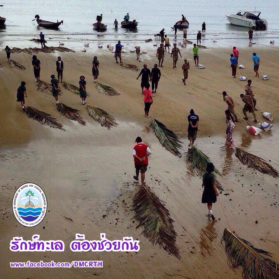 สวัสดี พี่น้องเครือข่ายรักษ์ทะเลไทย