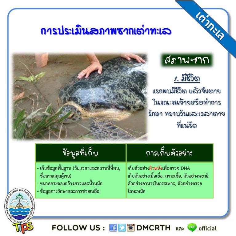 เกร็ดความรู้ ทช.
