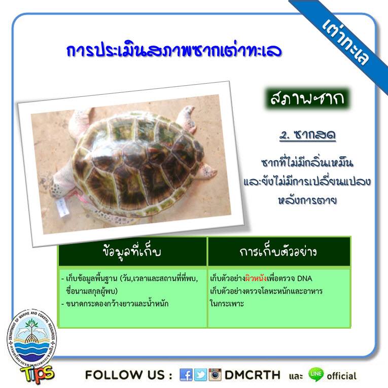 เกร็ดความรู้ ทช.