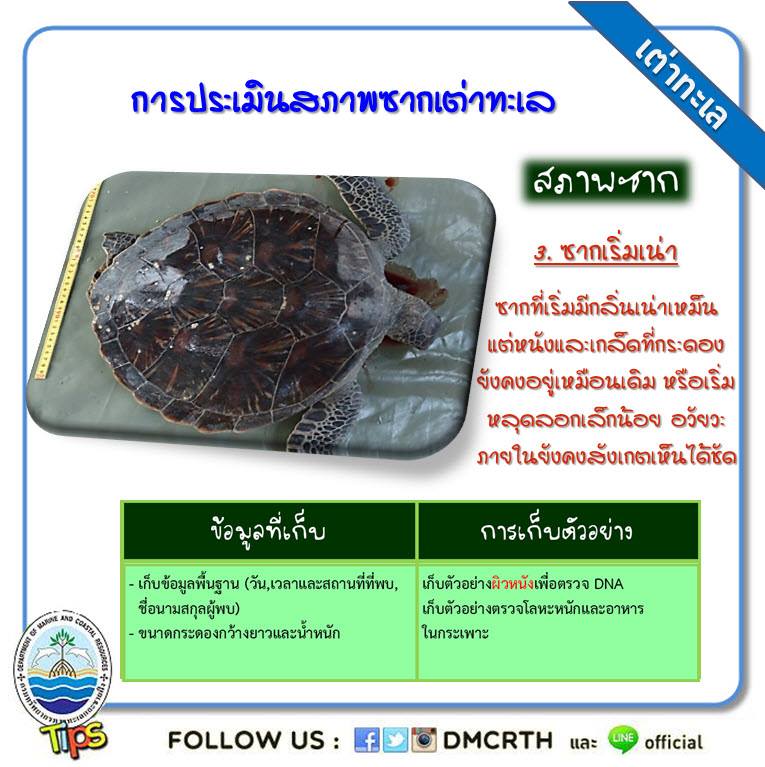 เกร็ดความรู้ ทช.