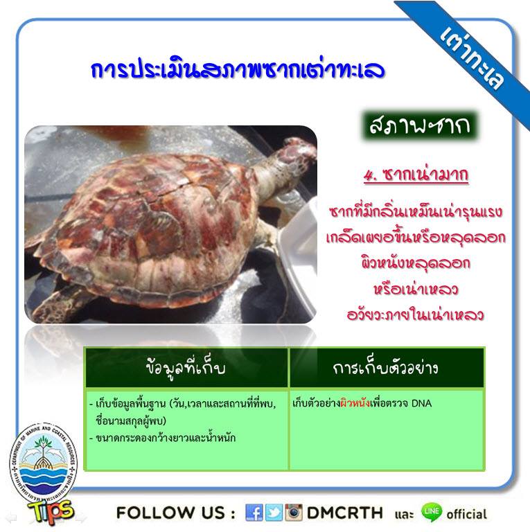 เกร็ดความรู้ ทช.