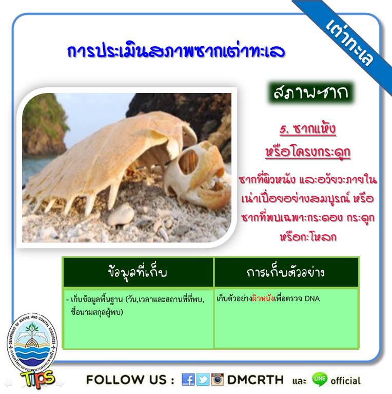 เกร็ดความรู้ ทช.