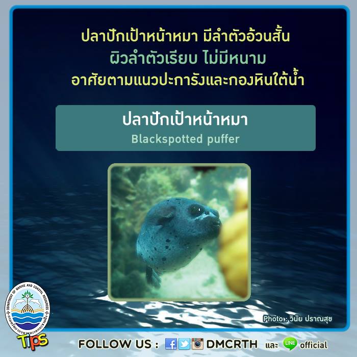 เกร็ดความรู้ ทช.