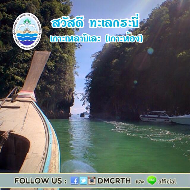 สวัสดี พี่น้องเครือข่ายรักษ์ทะเลไทย