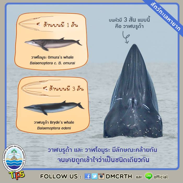 เกร็ดความรู้ ทช.