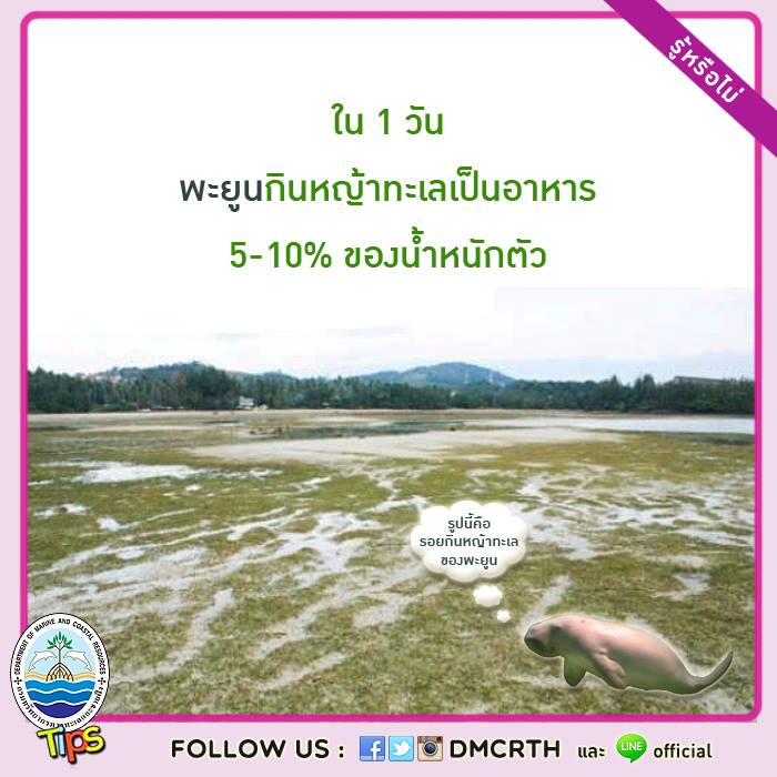 เกร็ดความรู้ ทช.