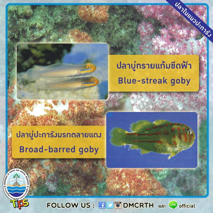 เกร็ดความรู้ ทช.