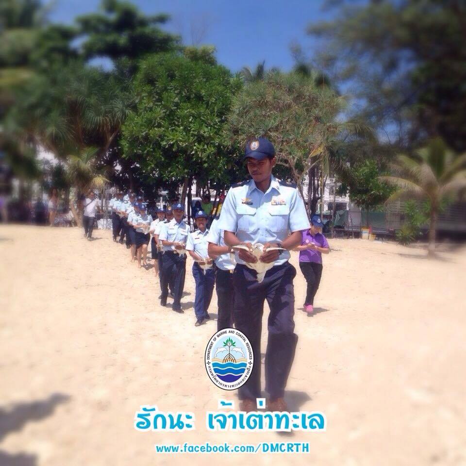 สวัสดี พี่น้องเครือข่ายรักษ์ทะเลไทย