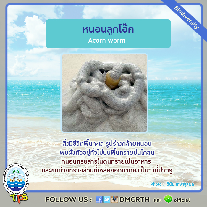 เกร็ดความรู้ ทช.