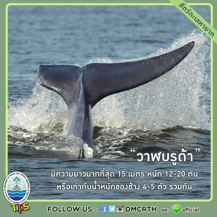 เกร็ดความรู้ ทช.