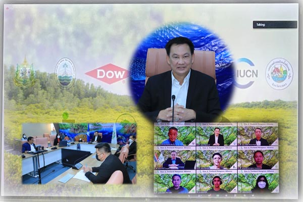ทช. จับมือ Dow ร่วมมือ 6 องค์กร ยกระดับการดำเนินโครงการ “Dow & Thailand Mangrove Alliance” สู่โมเดลต้นแบบการอนุรักษ์ป่าชายเลนแบบมีส่วนร่วมทุกมิติ