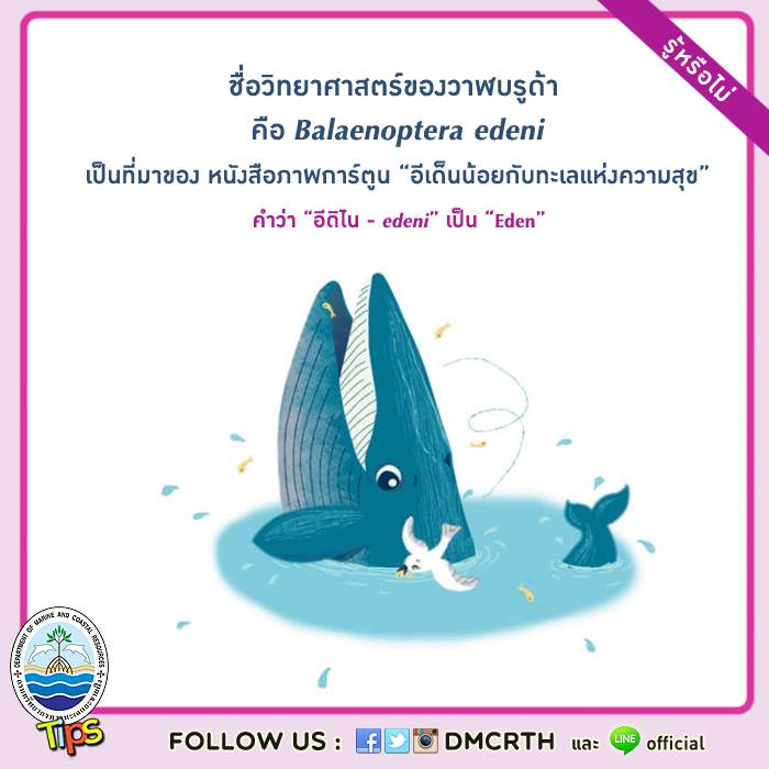 เกร็ดความรู้ ทช.