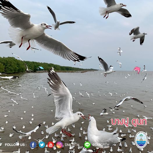สวัสดี พี่น้องเครือข่ายอนุรักษ์ทะเลไทย
