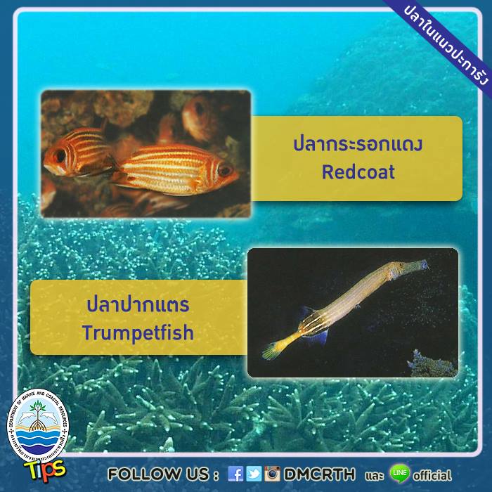 เกร็ดความรู้ ทช.