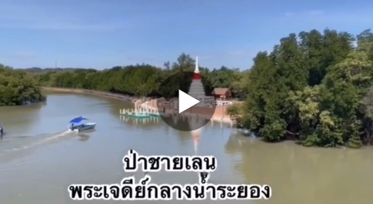 น้องๆ สาธิตเทศบาลนครระยอง ชวนเที่ยวป่าชายเลนเมืองระยอง