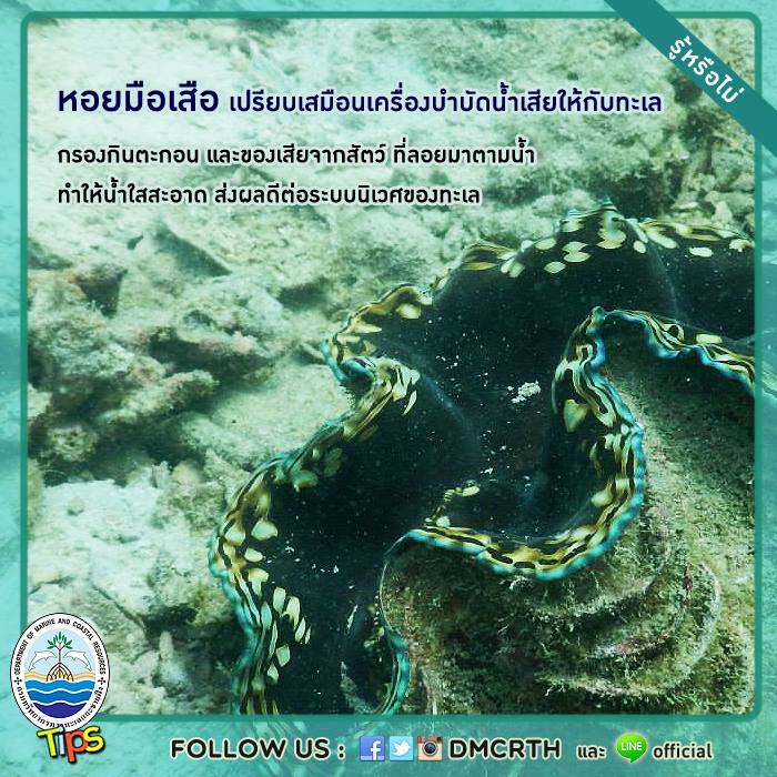 เกร็ดความรู้ ทช.