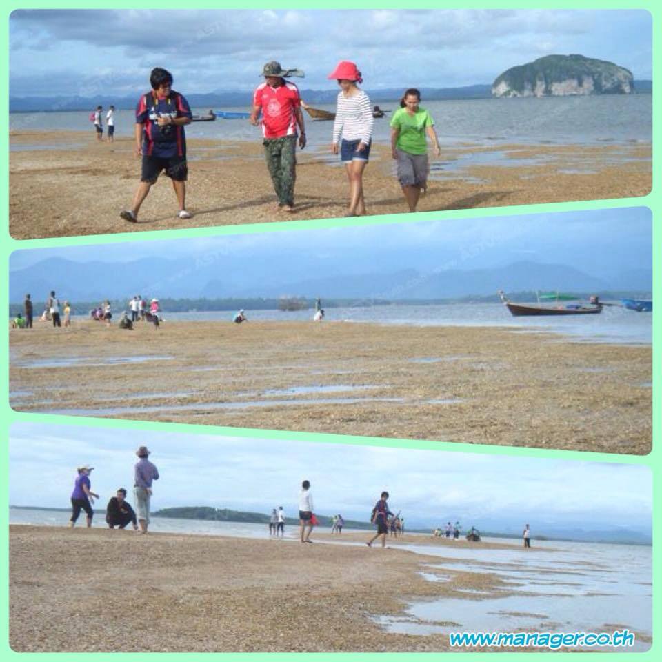 สันดอนหอย ที่เที่ยวใหม่ทะเลตรัง
