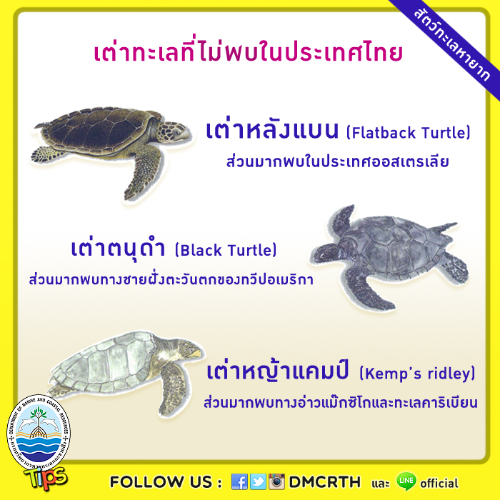 เกร็ดความรู้ ทช.