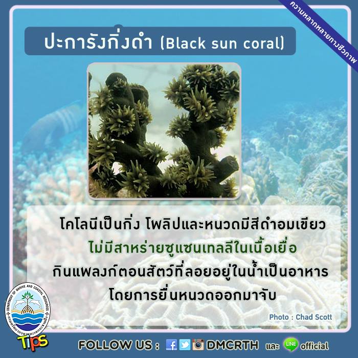 เกร็ดความรู้ ทช.