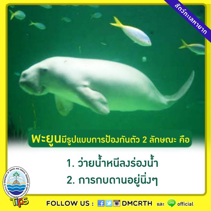 เกร็ดความรู้ ทช.