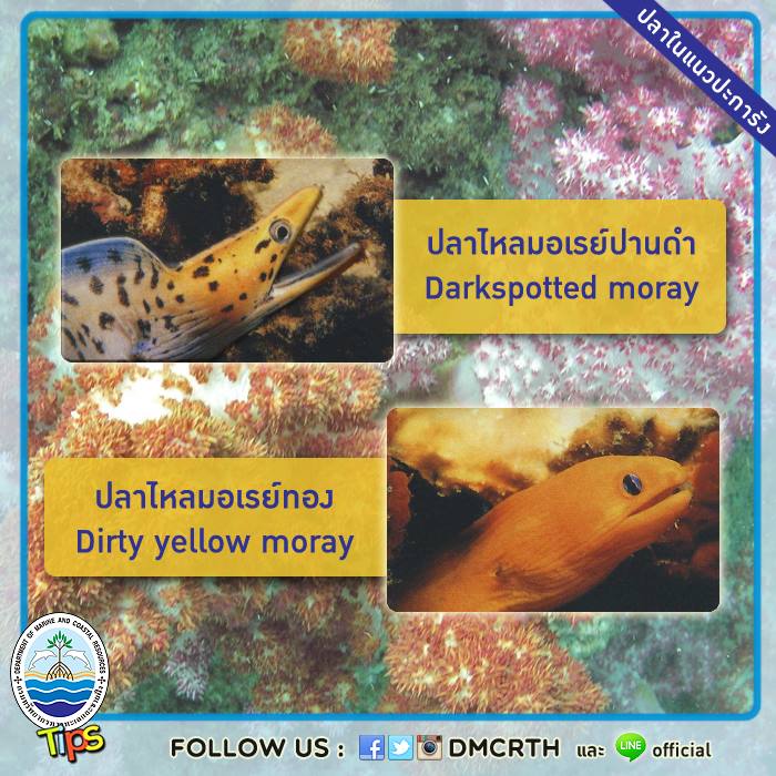 เกร็ดความรู้ ทช.