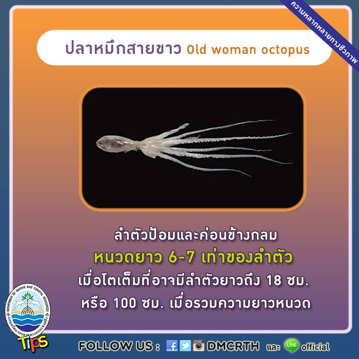 เกร็ดความรู้ ทช.