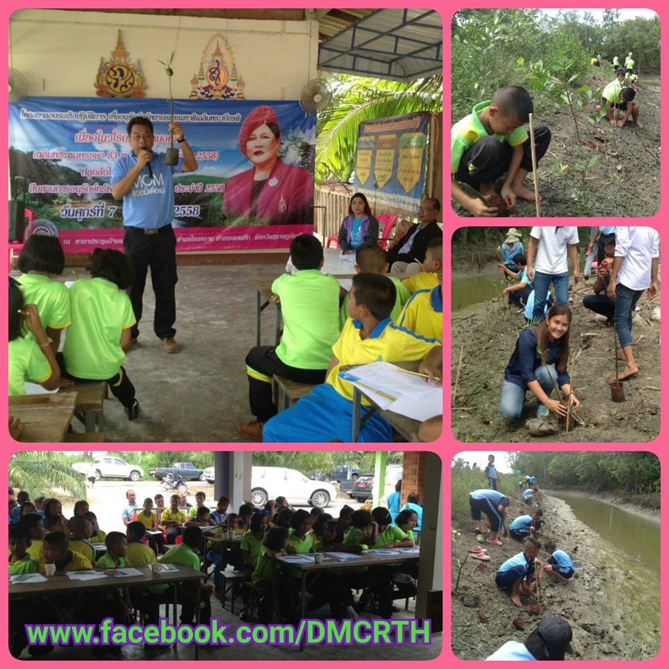 ทช. ปลูกป่าชายเลน อ.ดอนสัก เฉลิมพระเกียรติ